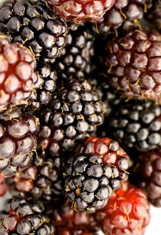fruits that start with b boysenberry