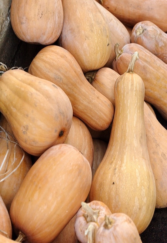 fruits that start with b butternut squash