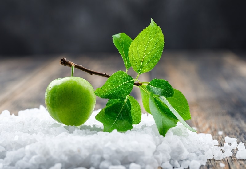 fruits that start with g greengage fruits