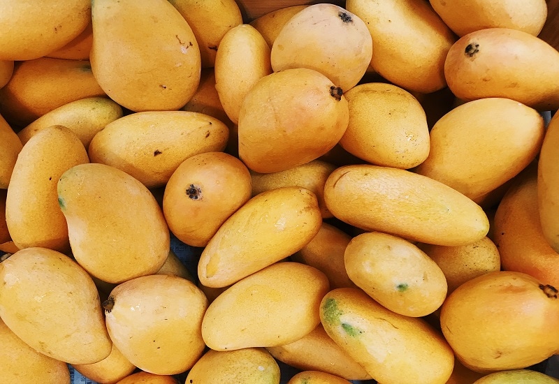 fruits that start with l lancetilla mango