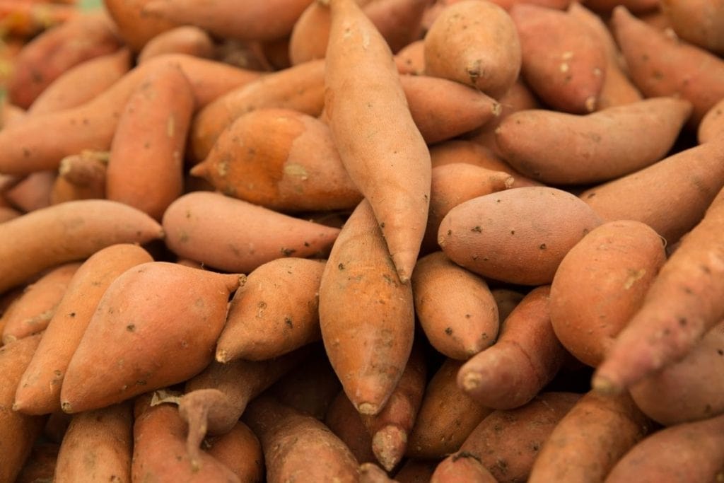 How to tell if a sweet potato is bad 1