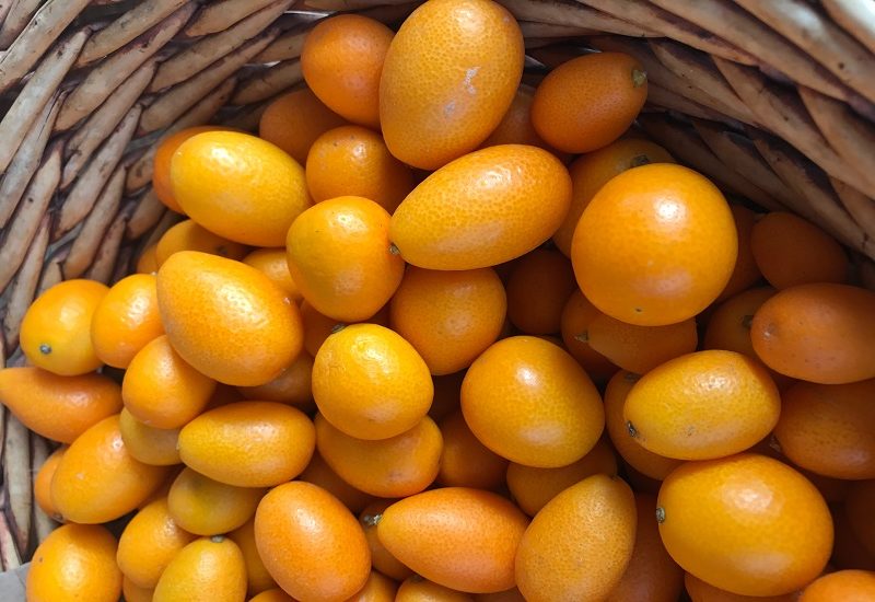 fruits that start with o oval kumquat fruit rotated