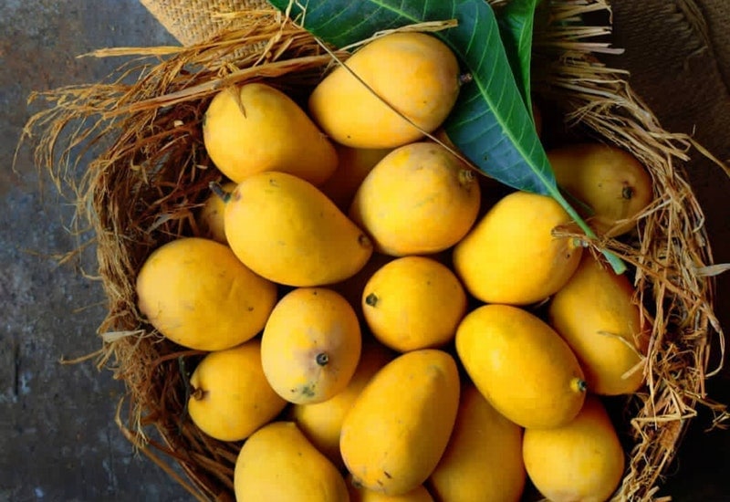 fruits that start with s saigon mango