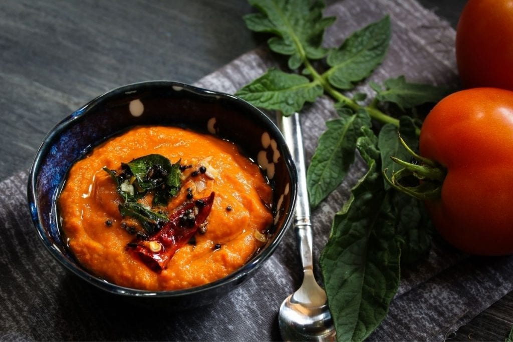 The Best Blender For Chutneys