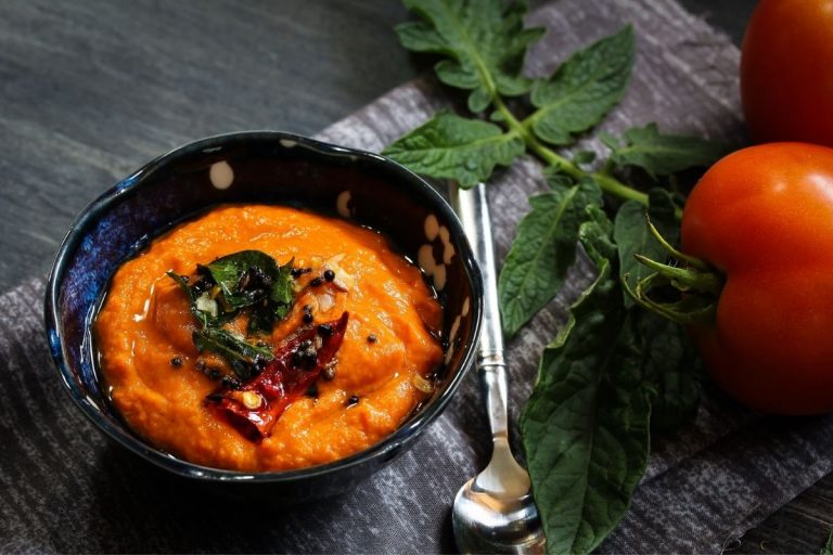 The Best Blender For Chutneys