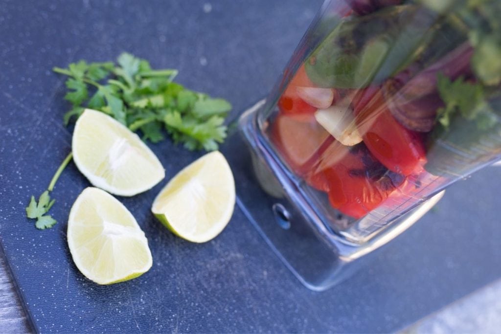 Best Blender For Salsa Food Plus Words