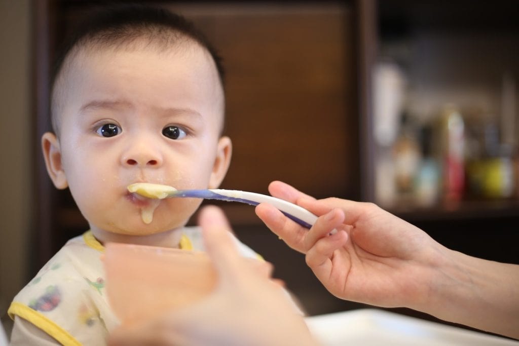 When Can Babies Eat Puree Meat