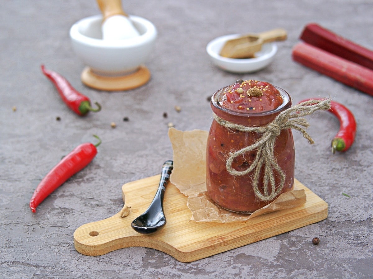 The Best Blender For Chutneys