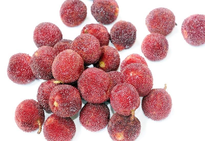 yangmei fruit