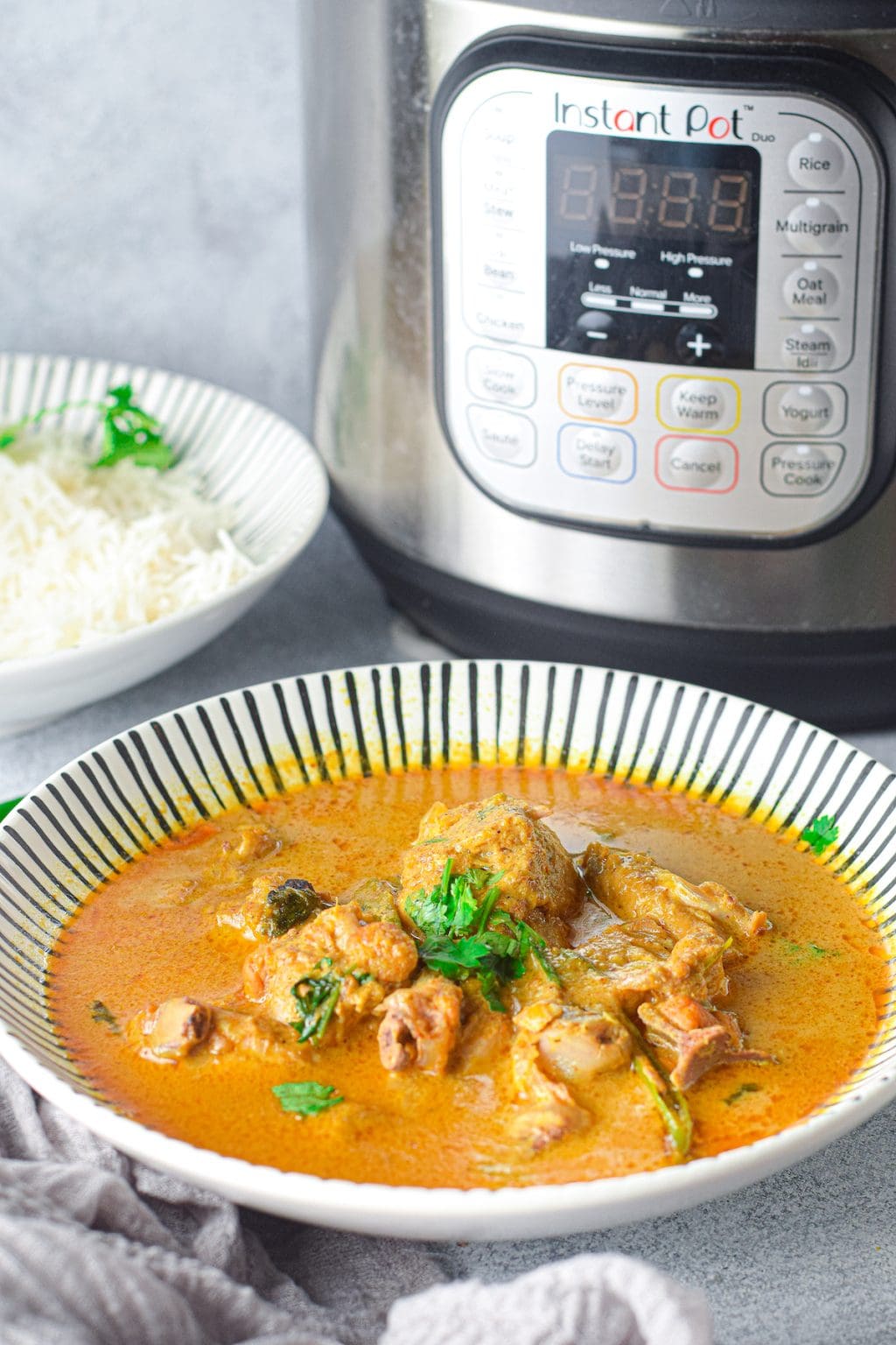 Quick and Easy Instant Pot Chicken Korma Recipe (30 Minutes)