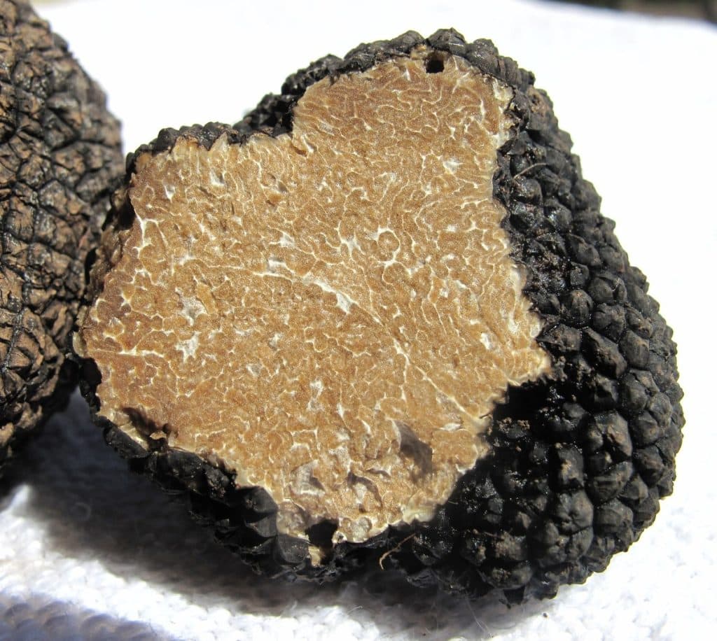 black truffle taste