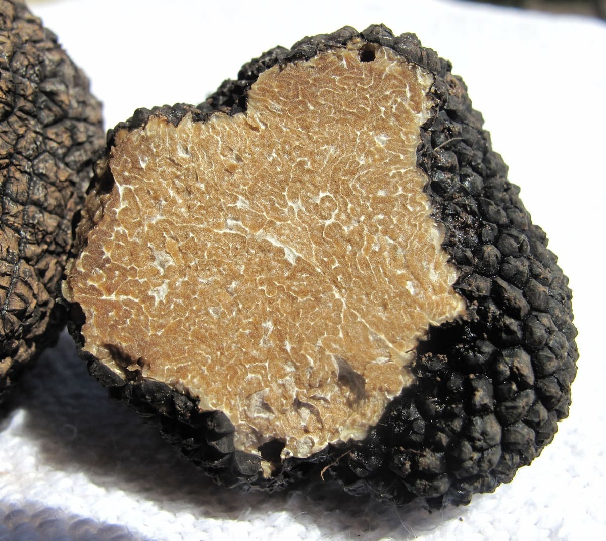 What Do Black Truffles Taste Like? Do Truffles Taste Good?