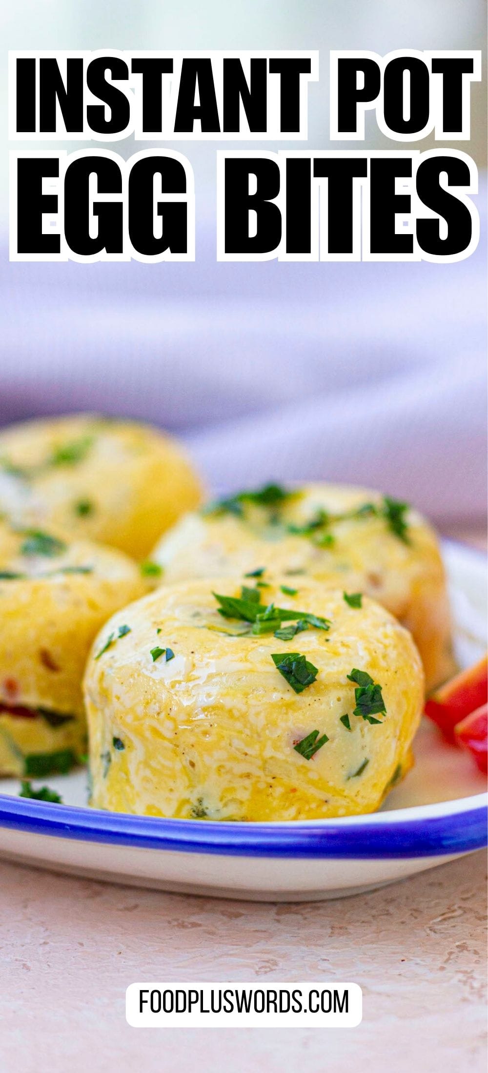 Easy Instant Pot Egg Bites Without Cottage Cheese