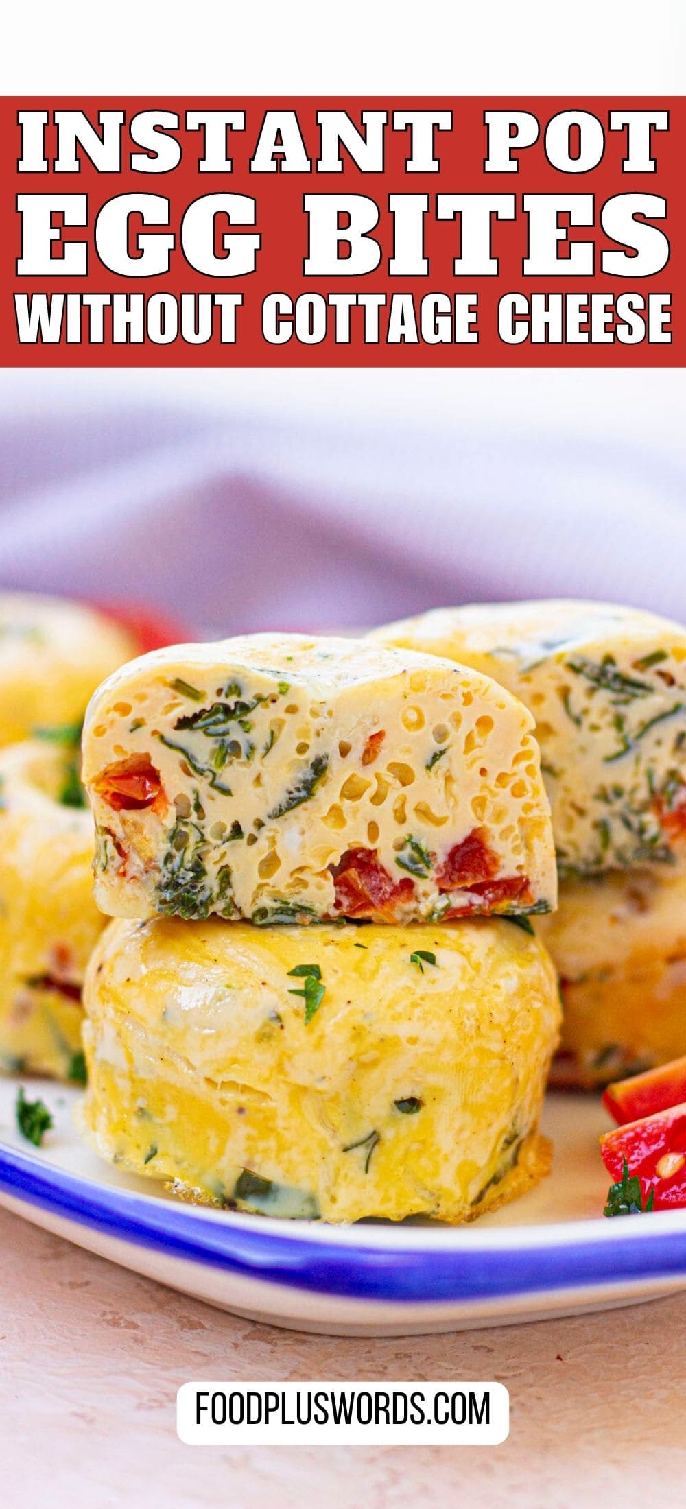 Easy Instant Pot Egg Bites Without Cottage Cheese