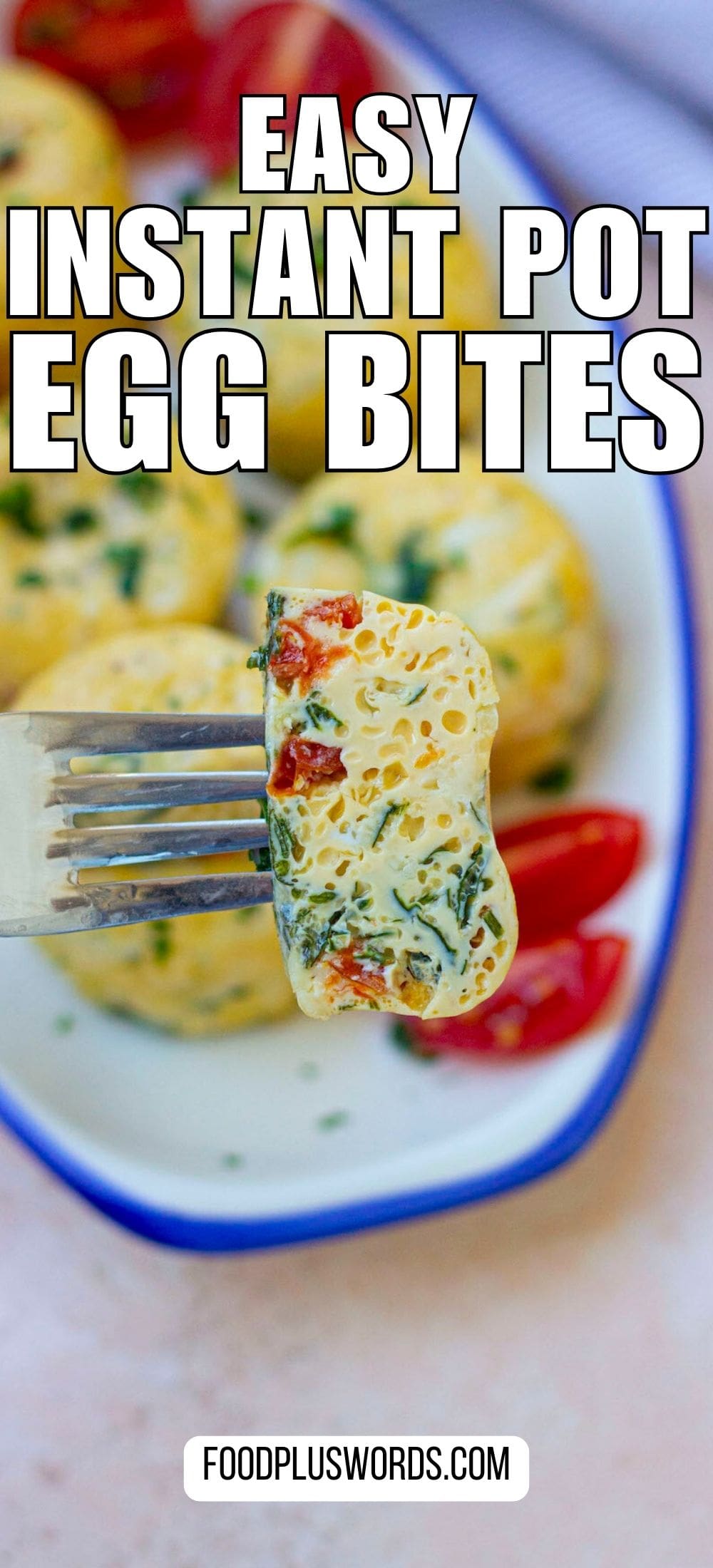 Easy Instant Pot Egg Bites Without Cottage Cheese