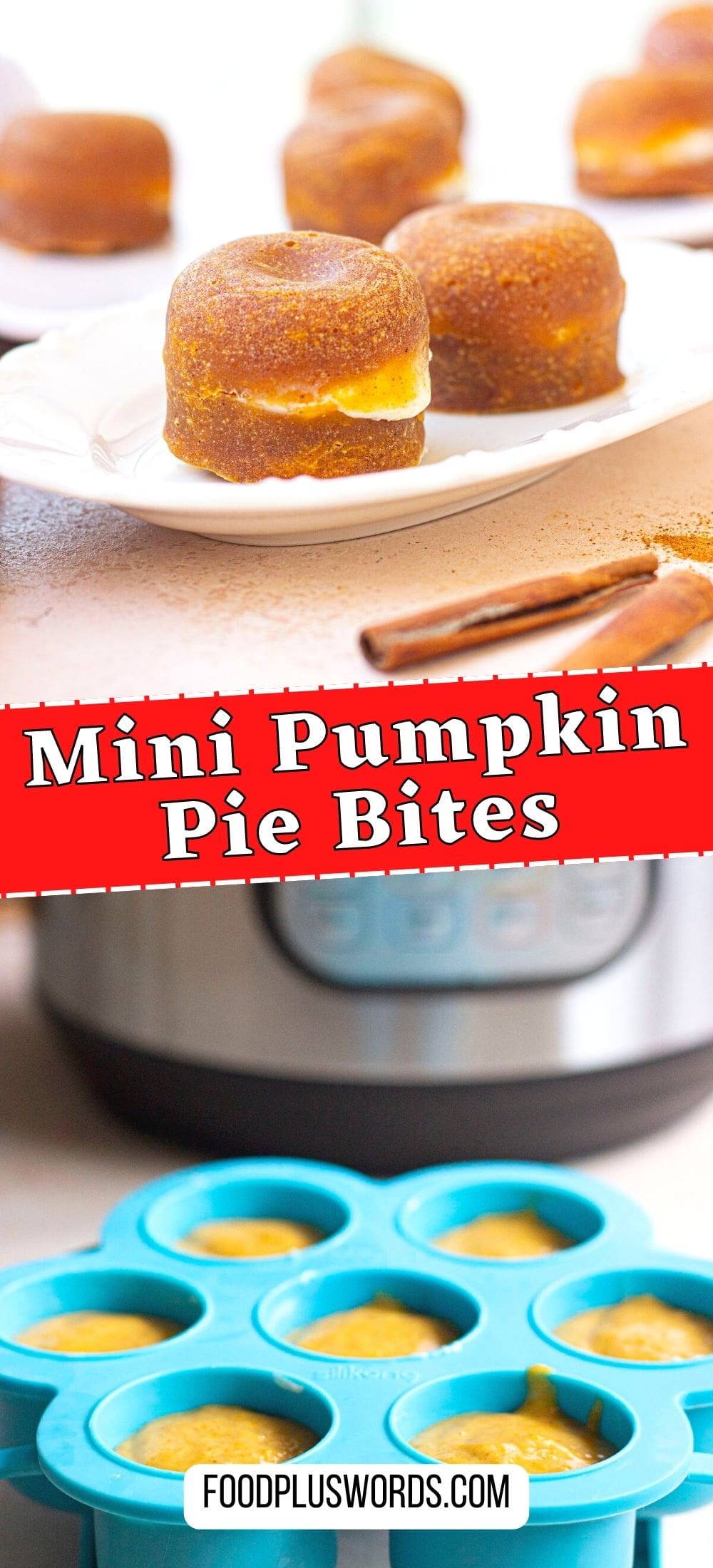 Instant Pot Pumpkin Bites Recipe