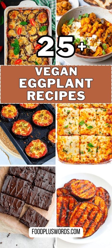 Eggplant Recipes 6