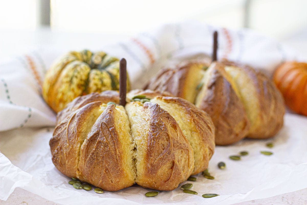 pumpkin recipes
