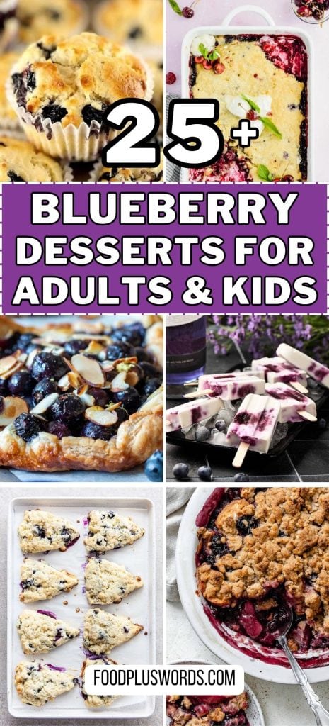 blueberry recipes 3