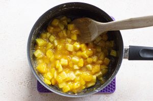 step 3 Peach Mango Pie