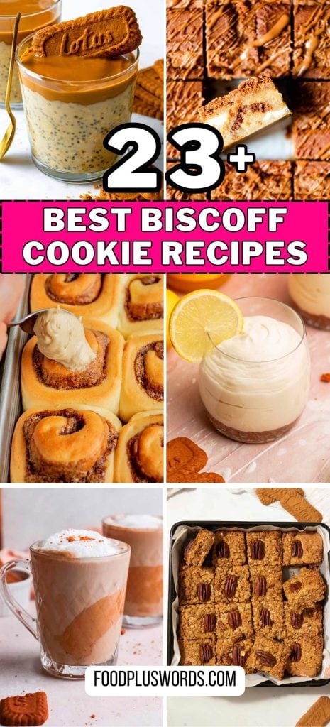 23 best Biscoff biscotti cookie recipes.