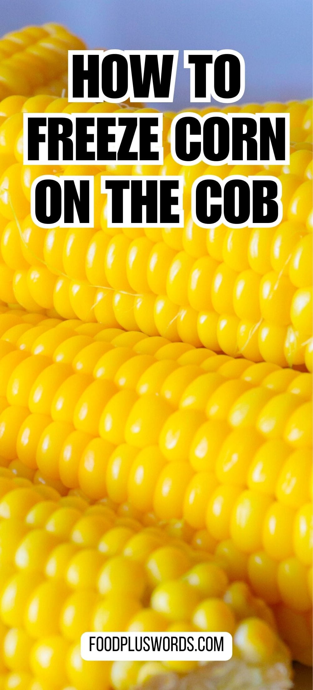 How To Freeze Corn 3 Best Ways