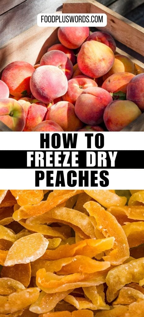 Guide to freeze drying peaches