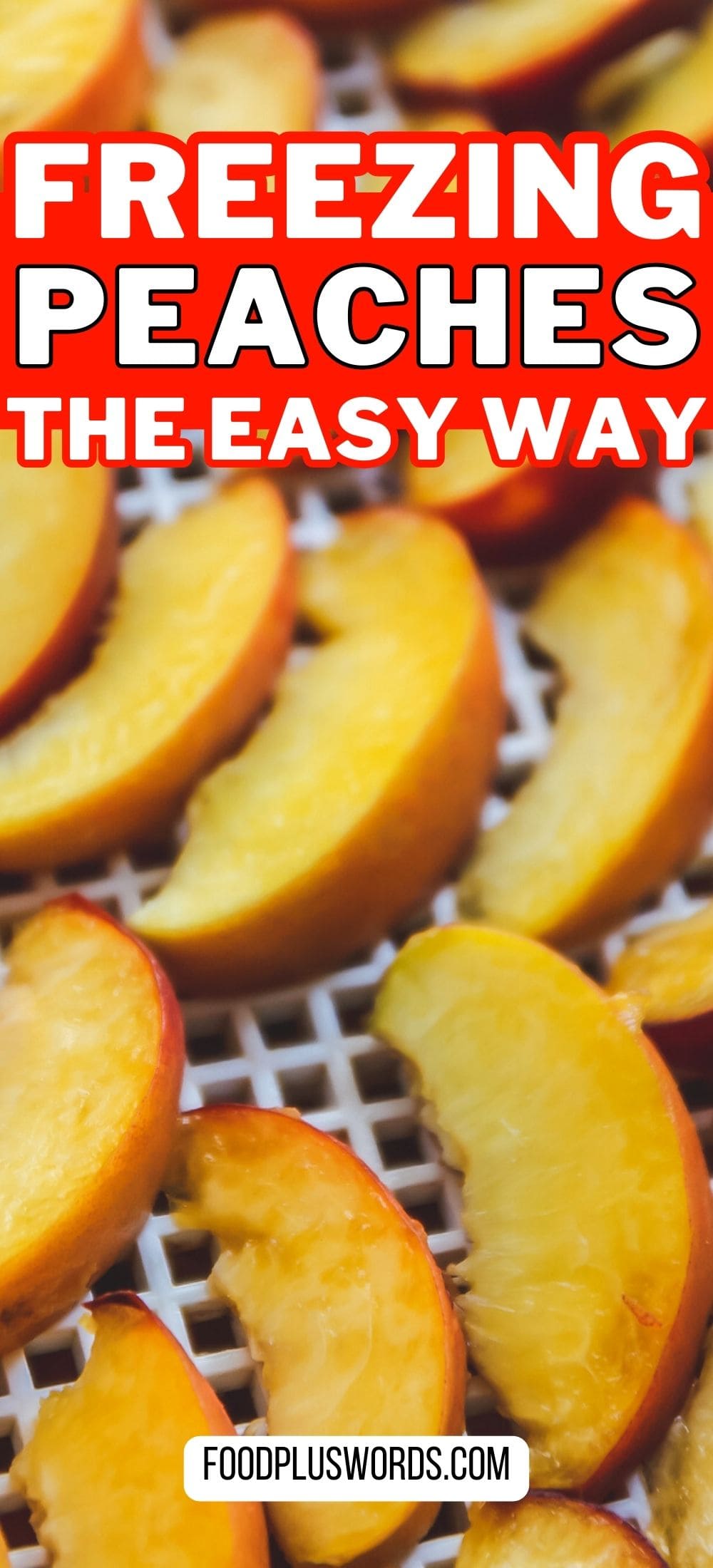 How to freeze dry peaches at home 3 best ways