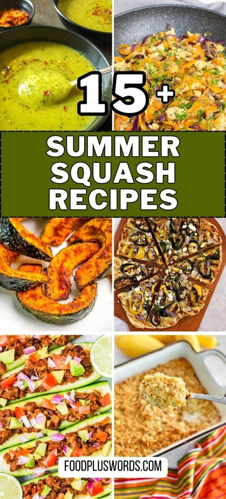 15+ recipes featuring summer squash.