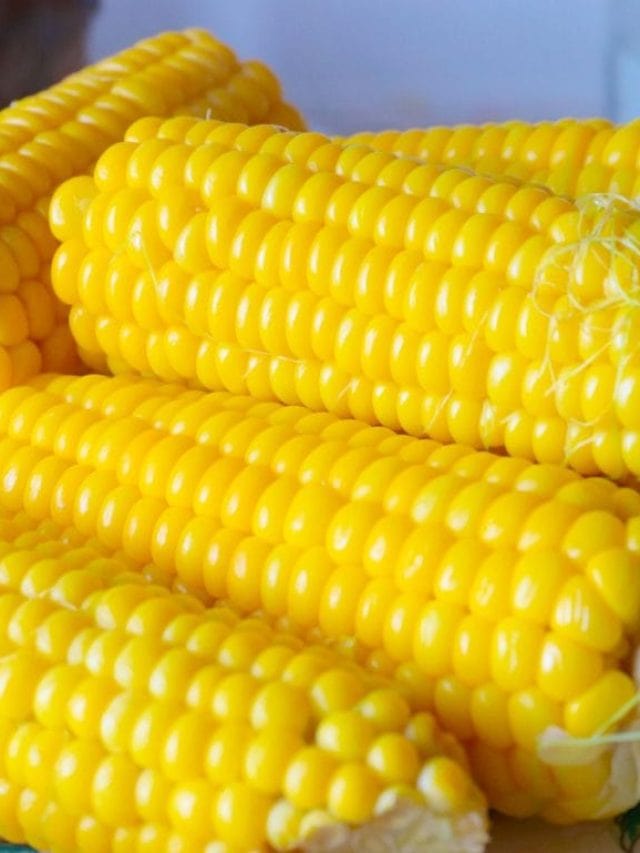 Best Ways to Freeze Corn Story