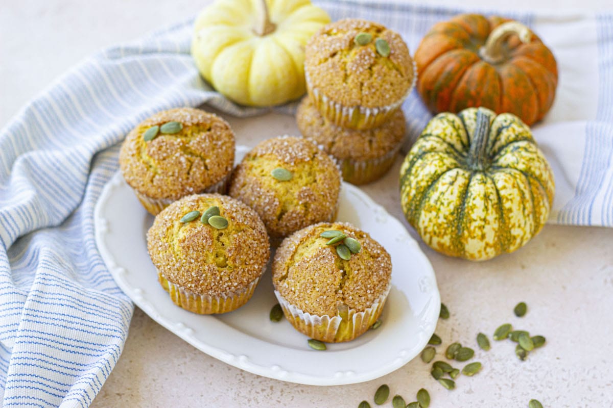 Easy Pumpkin Muffin Recipe