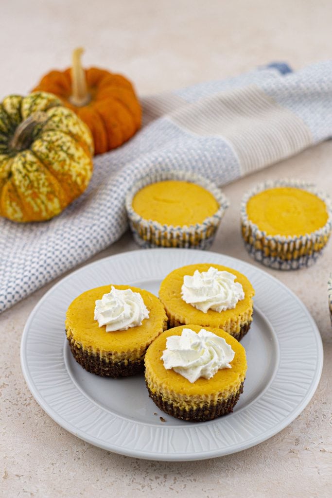 How To Store Pumpkin Cheesecake Cups