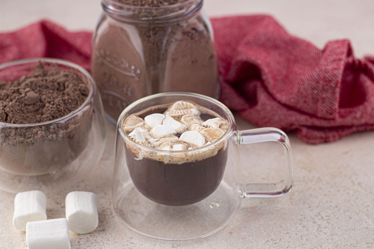 Best Homemade Hot Chocolate Mix