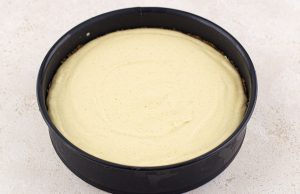 step 9 no bake pumpkin cheesecake recipe