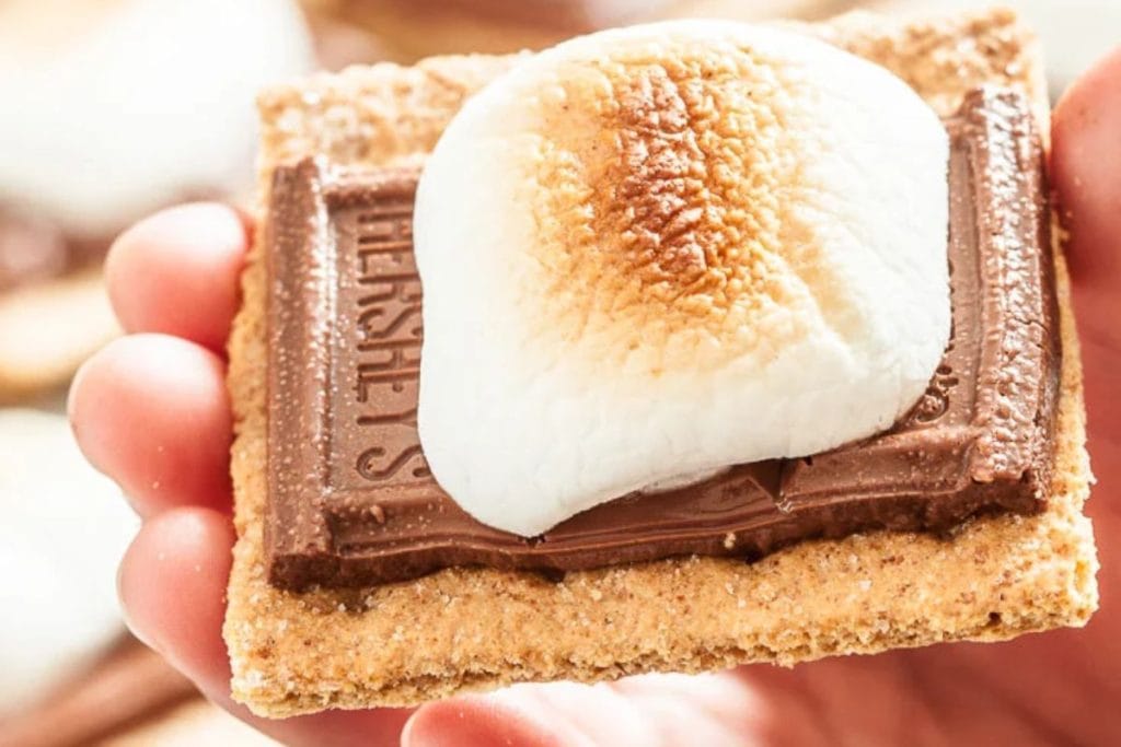 A person holding a graham cracker with a marshmallow on it, perfect for Last-Minute Potluck Ideas.