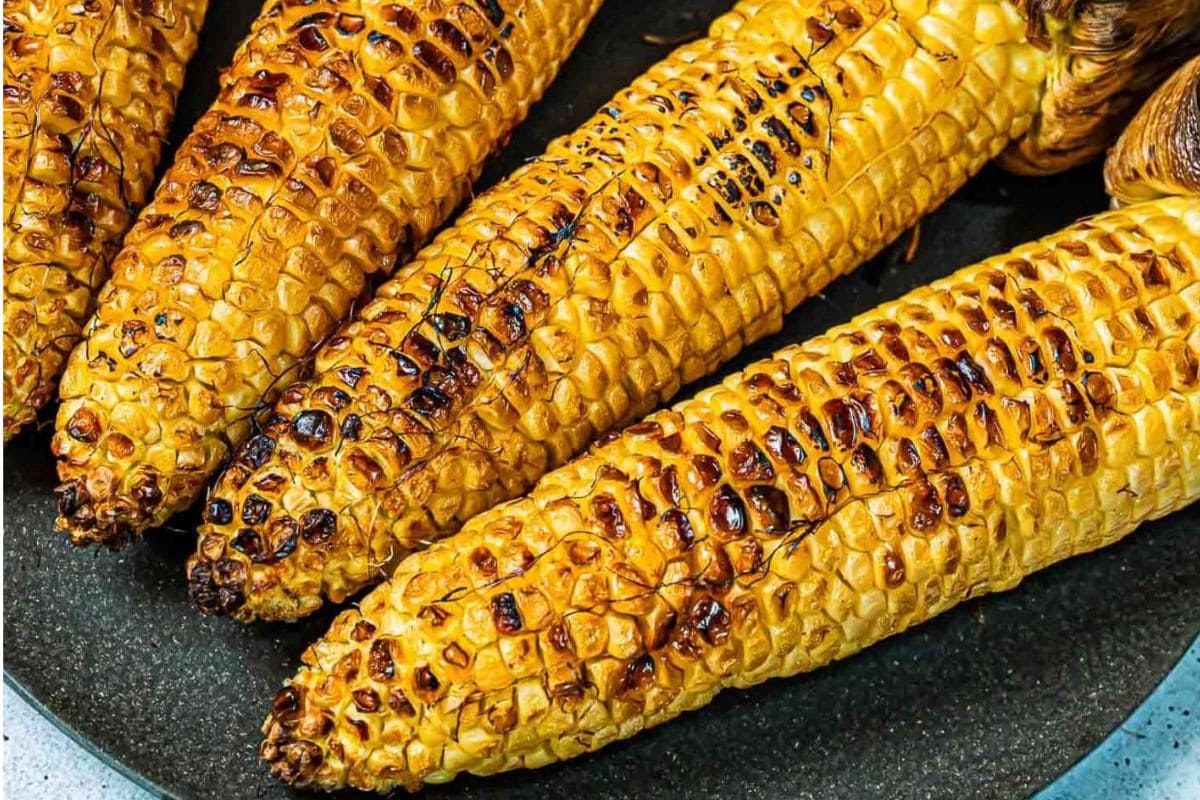 grilling recipes