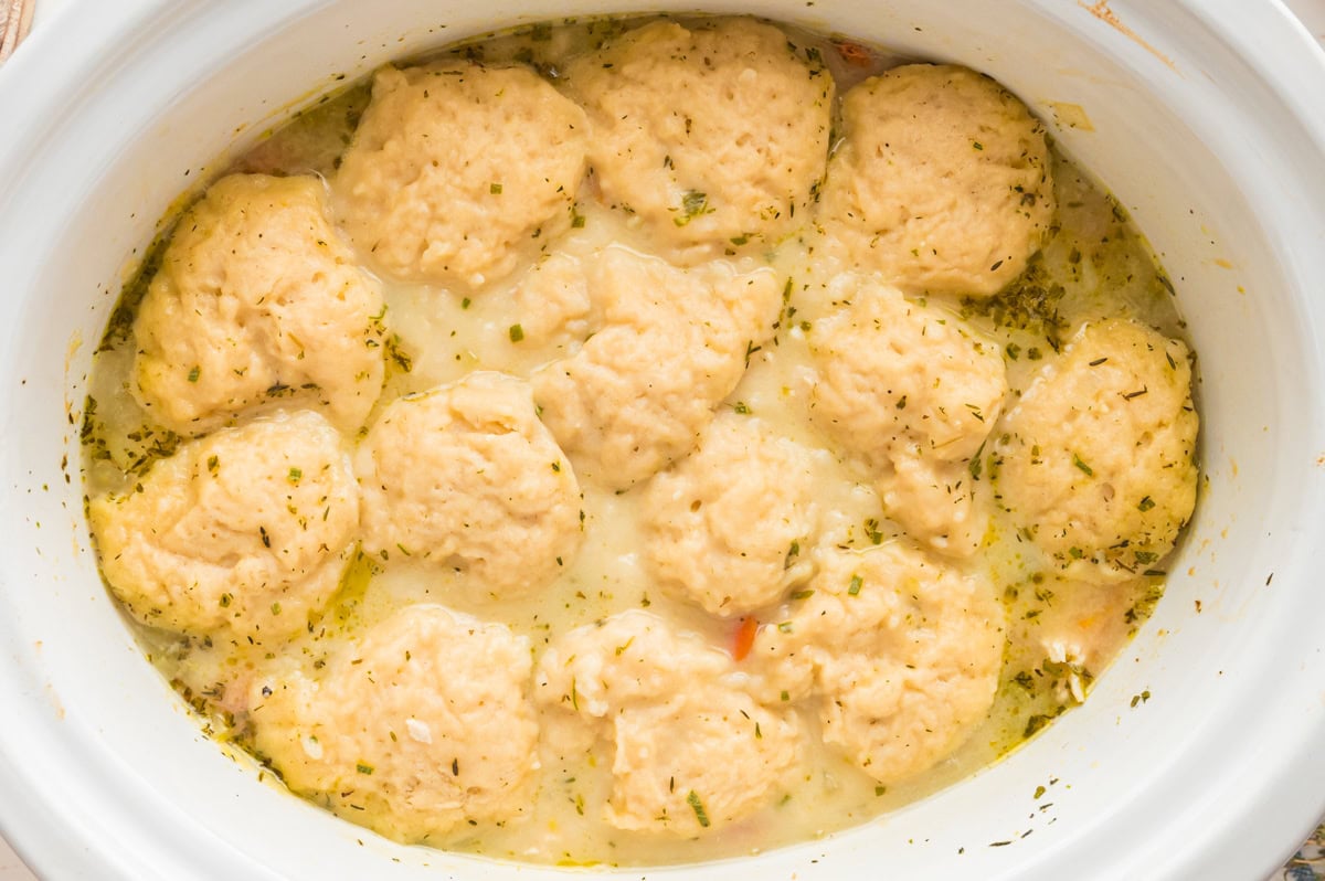 Slow cooker with creamy chicken stew topped with round biscuit dumplings and sprinkled with herbs.
