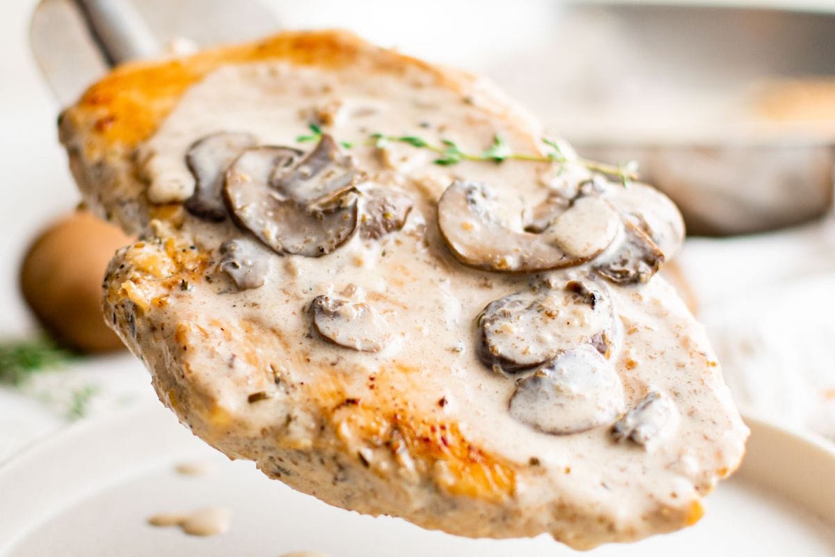 Close-up of a chicken breast topped with creamy mushroom sauce on a spatula.