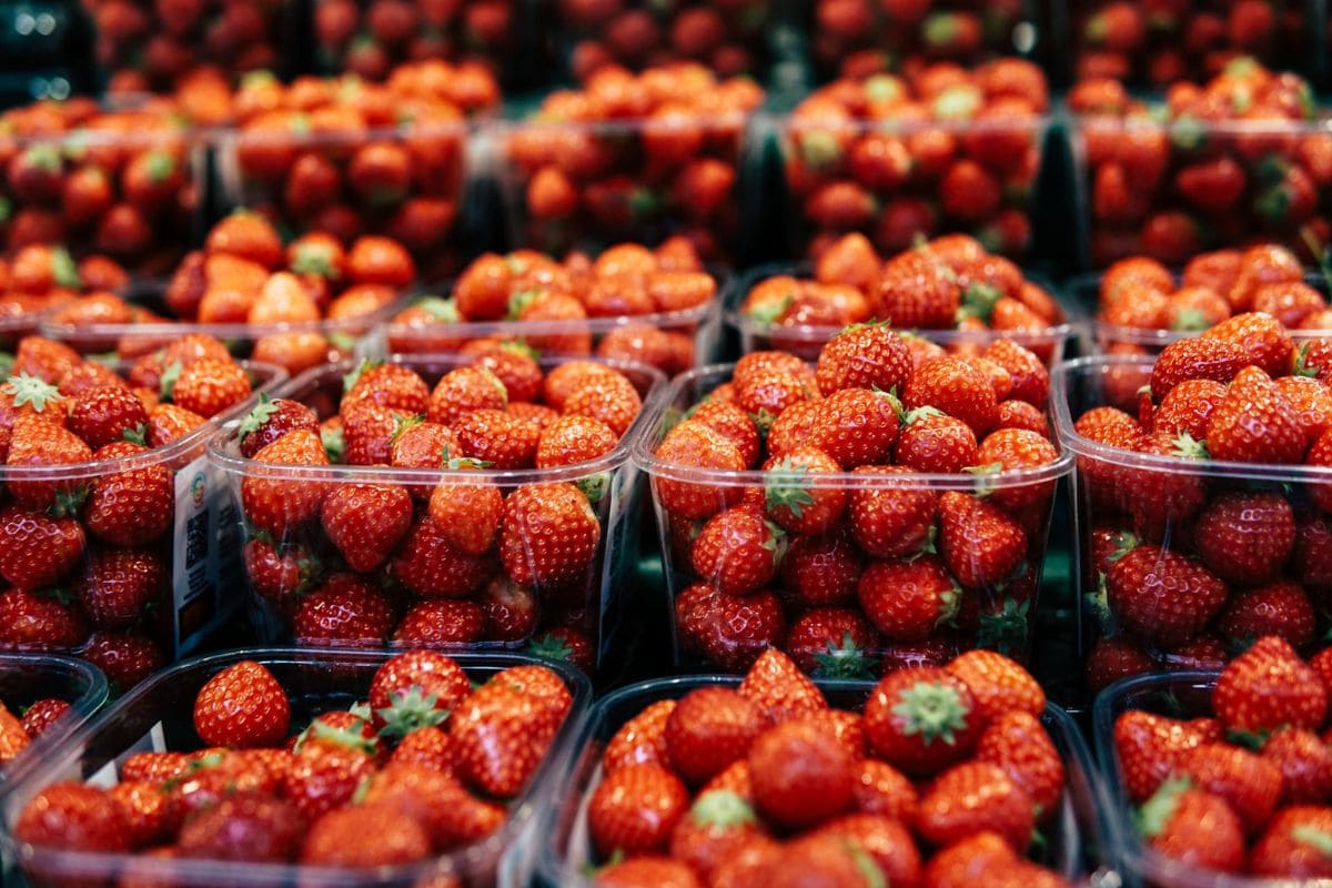 Plastic containers filled with fresh strawberries arranged in rows.