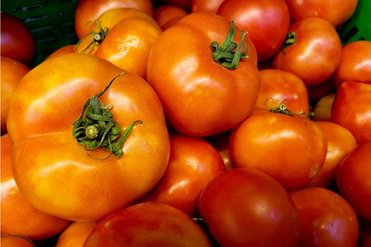 A pile of red tomatoes with green stems, stacked closely together.