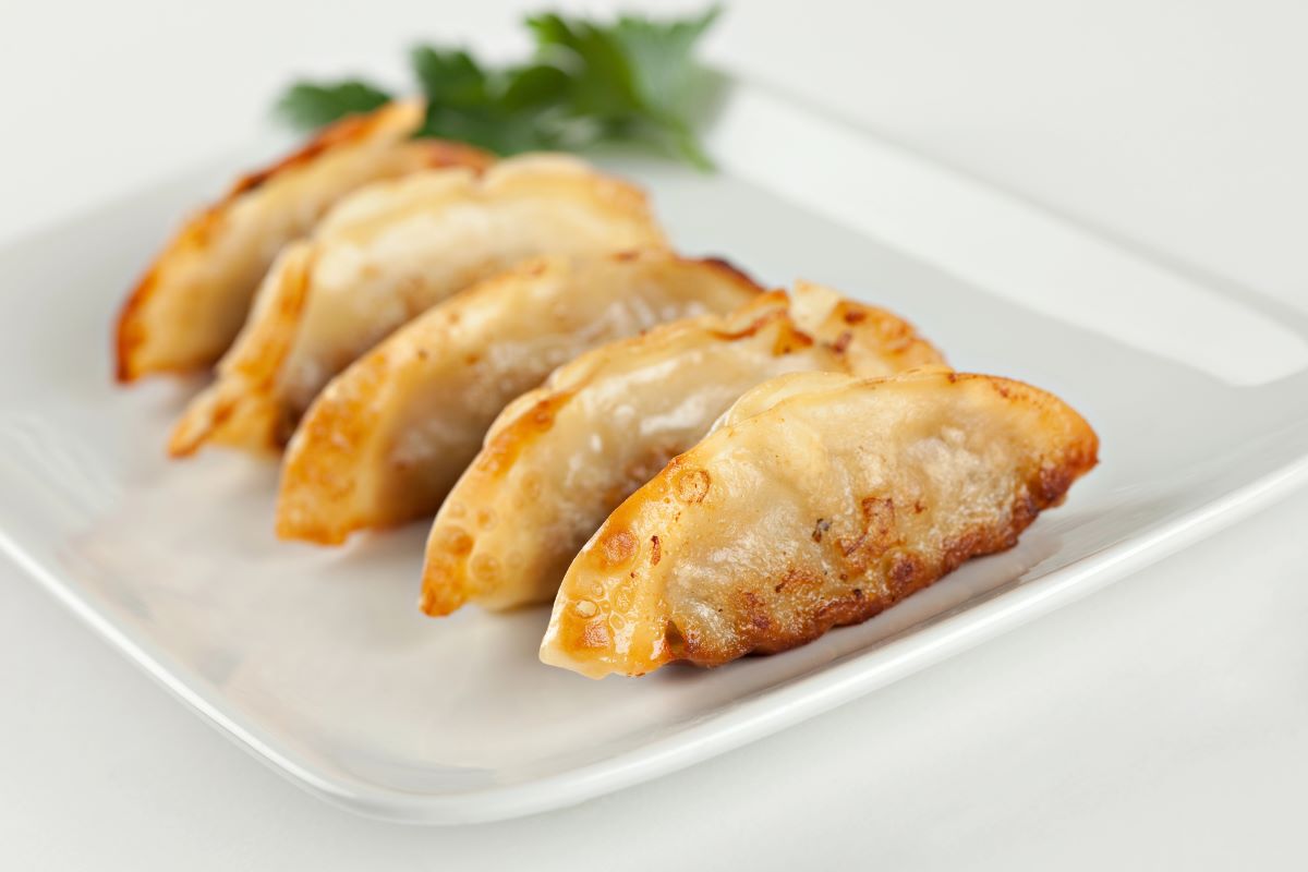 Chicken and dumplingFlashon