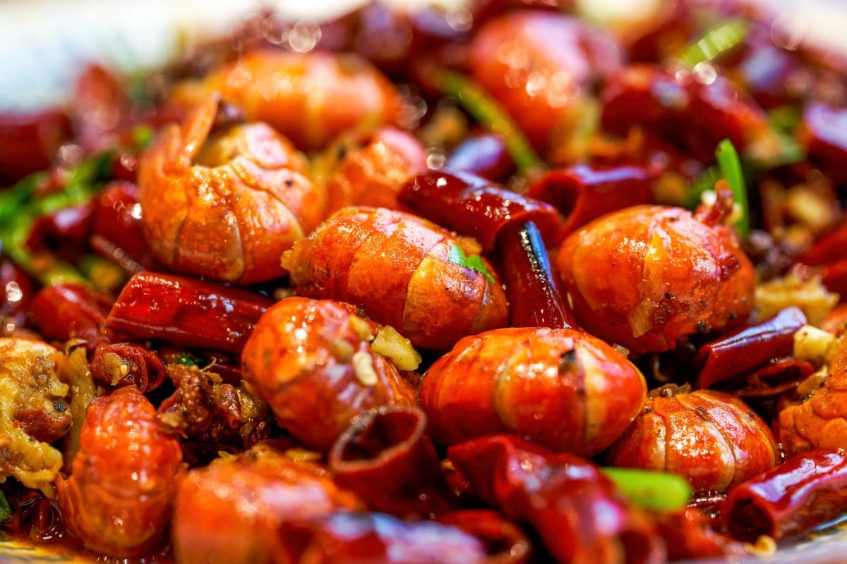 Crawfish tailHiTecherZ