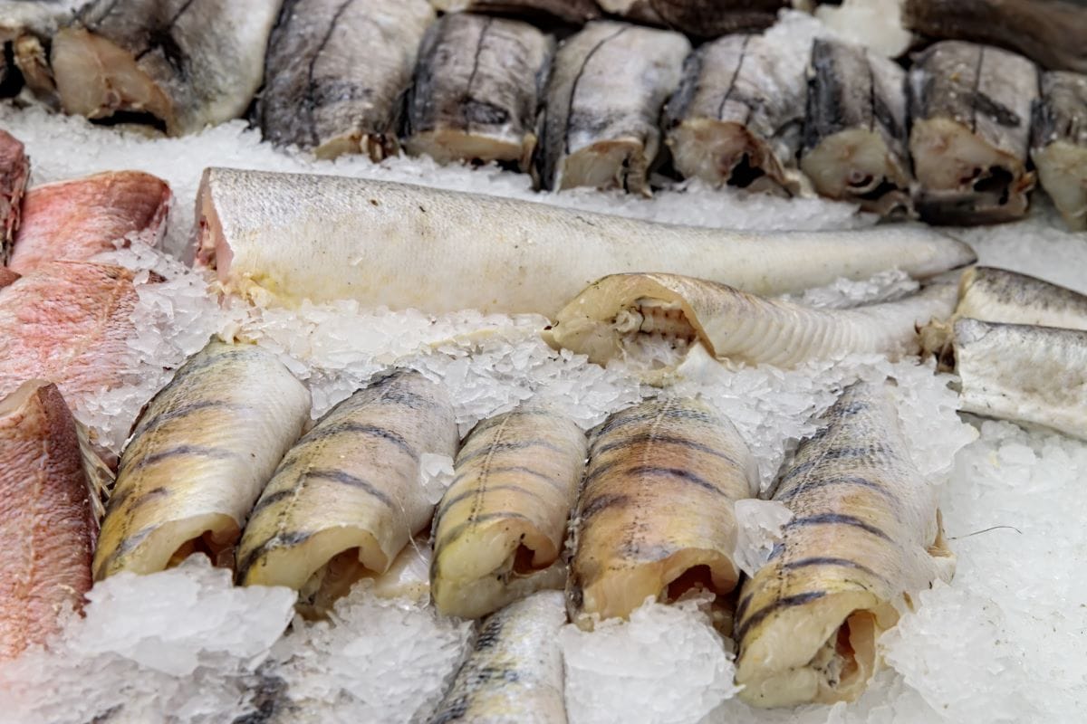 Fish MarketBonilook