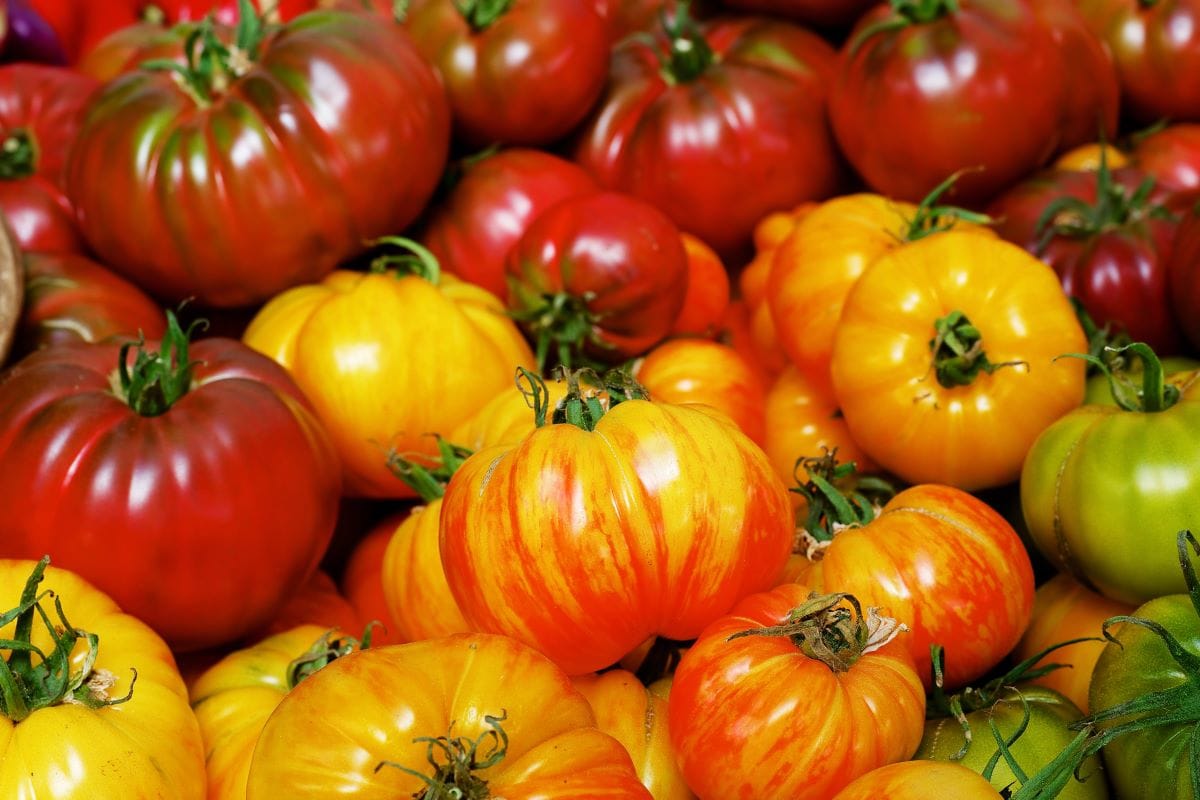 Heirloom tomatoesBobkeenan