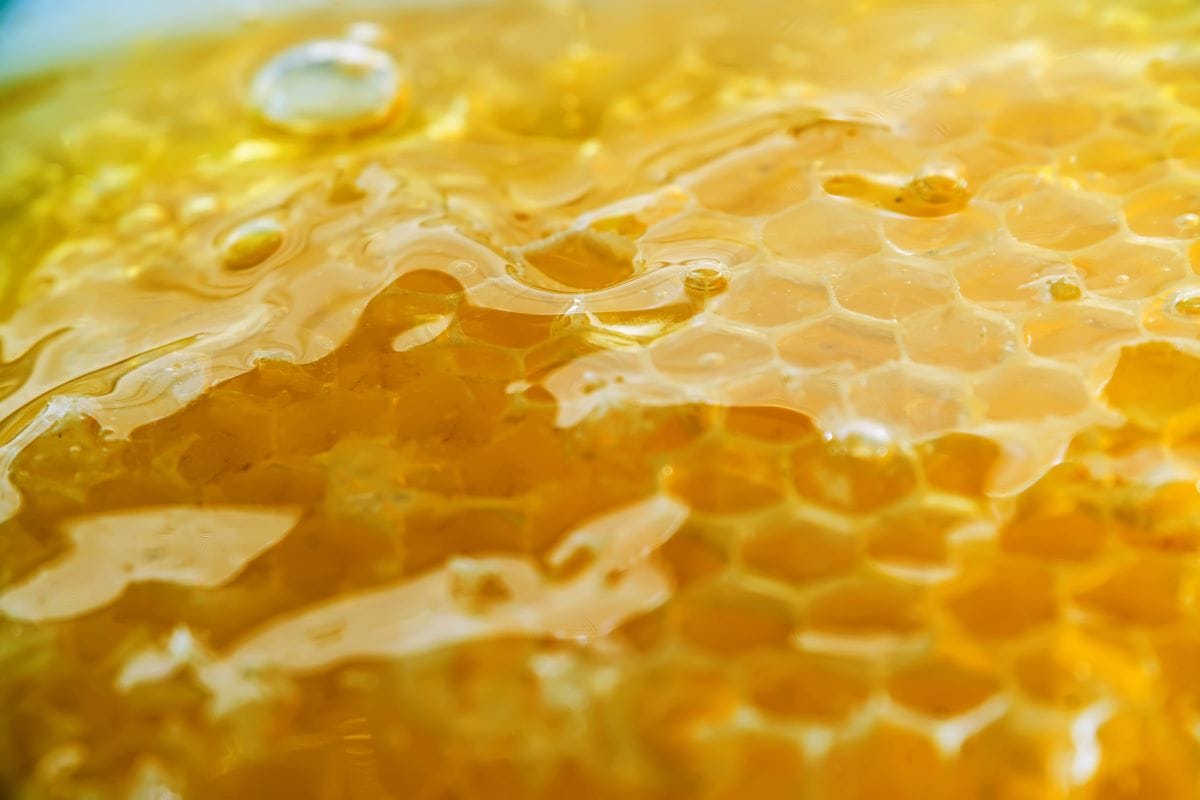 Honey in HoneycombDenisSmile