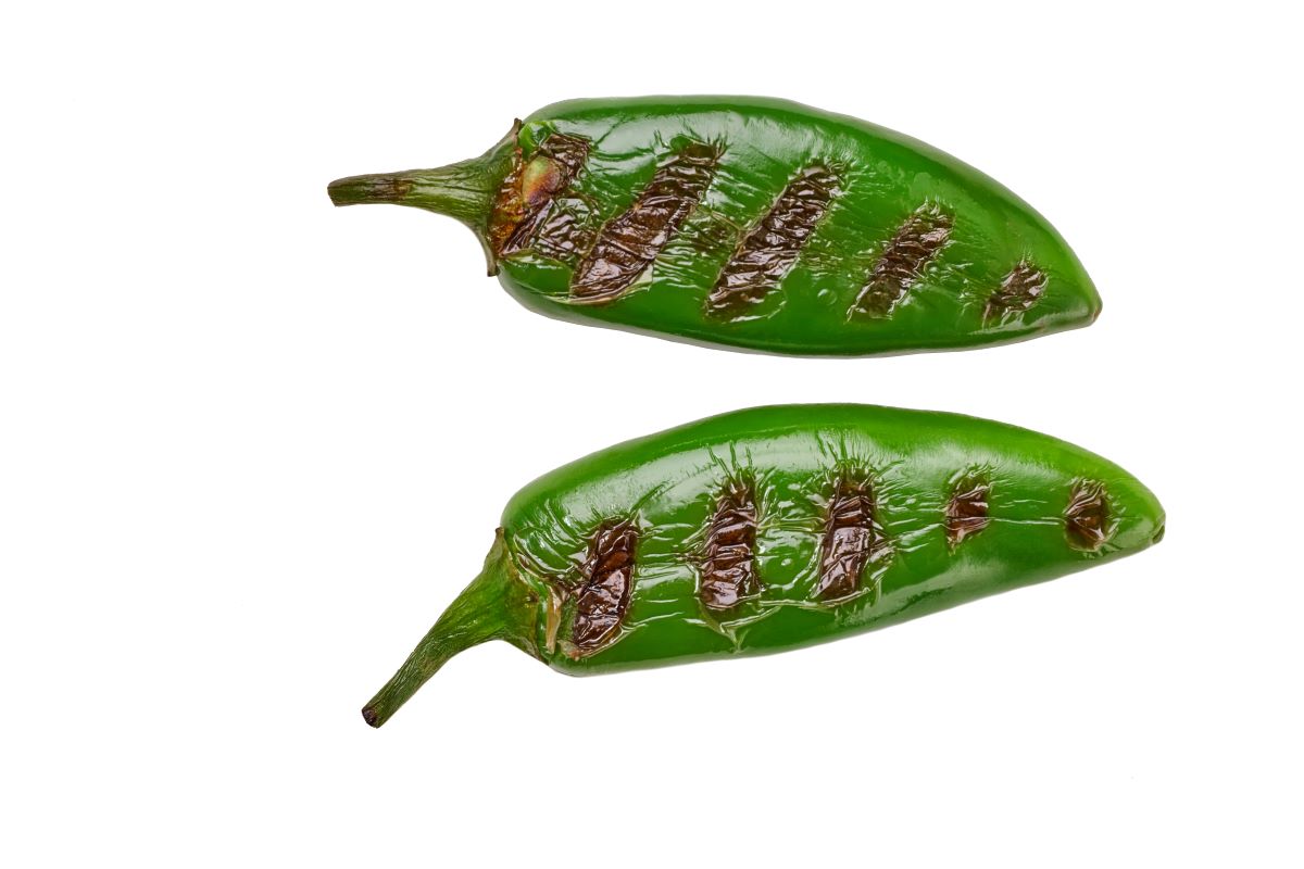 JalapenosItor115.gmail .com