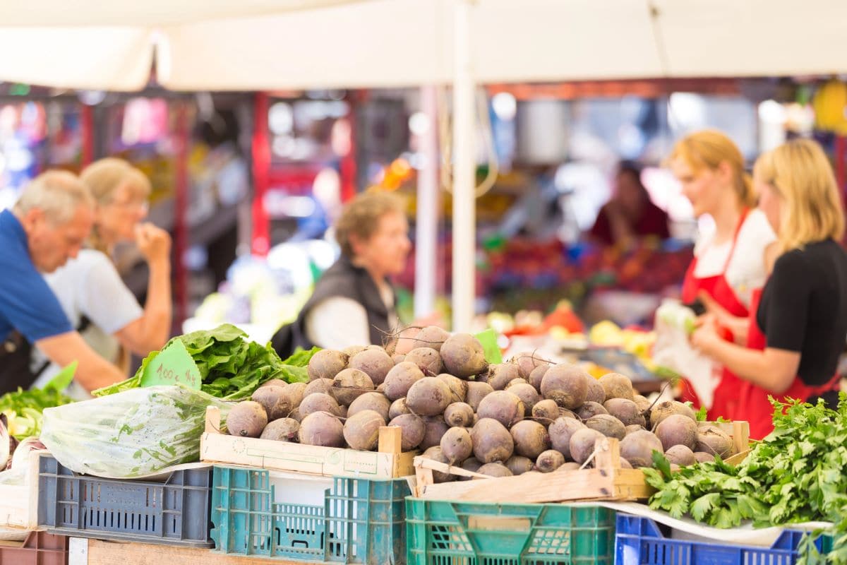 MarketKasto