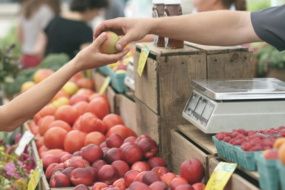 Organic produce pexels erikscheel
