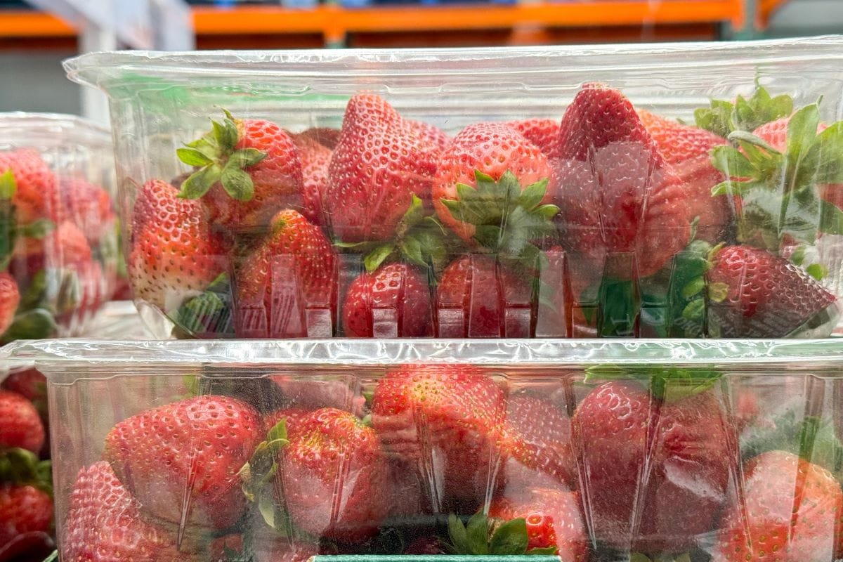 Packed berriesNastya ph