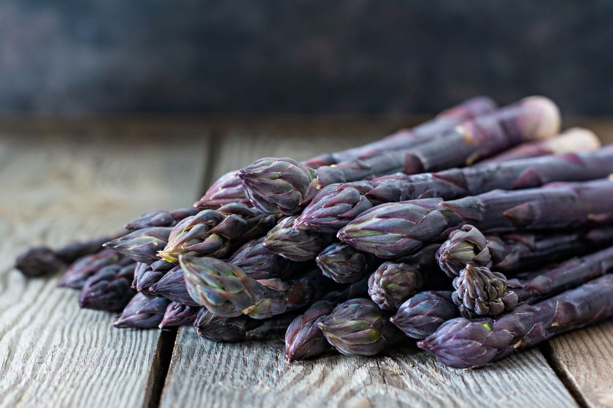 Purple asparagusZ vica